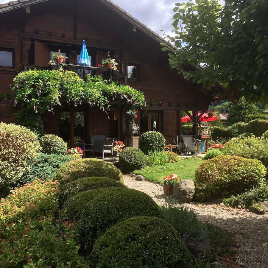 Chalet Les Chouettes Thônes Buitenkant foto